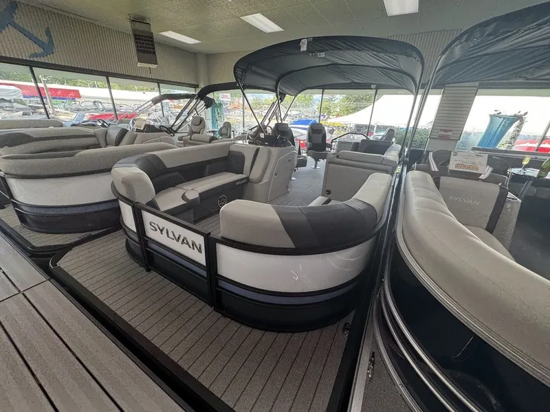 Slide: The Image of Sylvan L3 Party Fish 2026 - 3