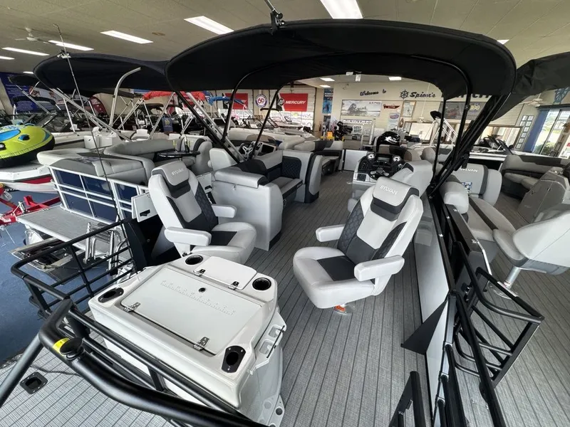 Slide: The Image of Sylvan L3 Party Fish 2026 - 34