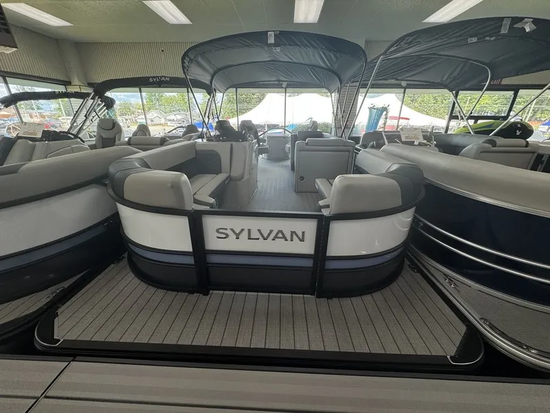 Slide: The Image of Sylvan L3 Party Fish 2026 - 4