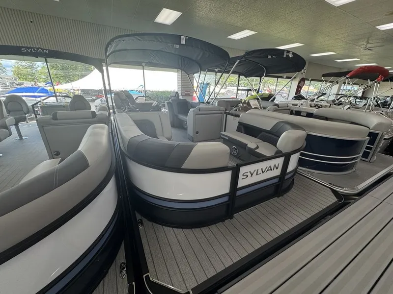 Slide: The Image of Sylvan L3 Party Fish 2026 - 5