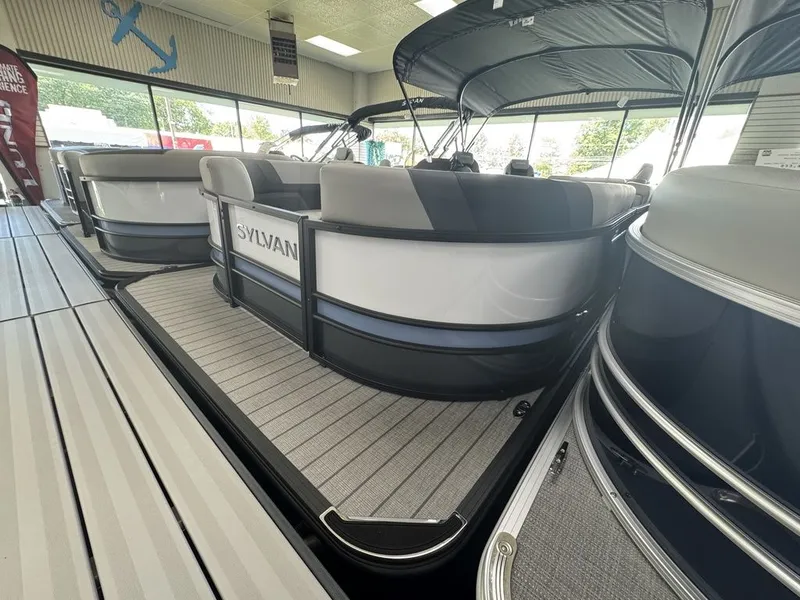 Slide: The Image of Sylvan L3 Party Fish 2026 - 7