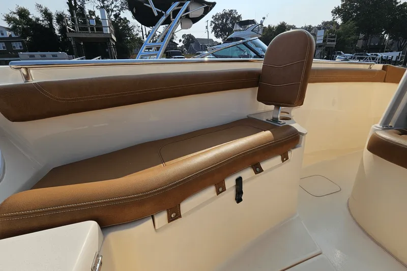 Slide: The Image of Scout 255 LXF 2020 - 49