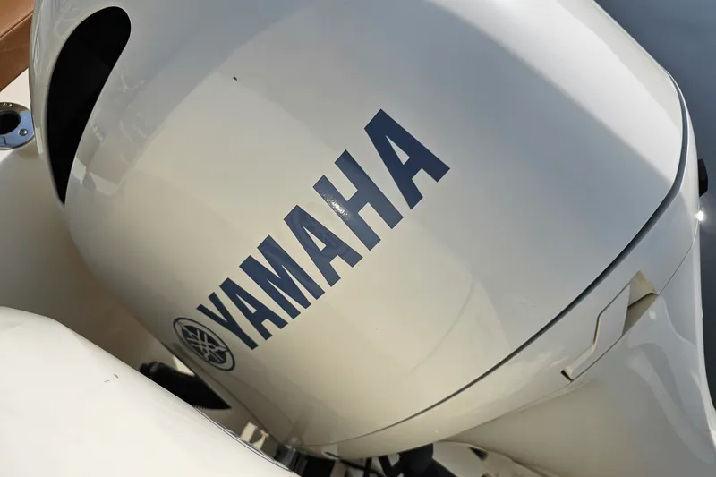 Slide: The Image of Scout 255 LXF 2020 - 8