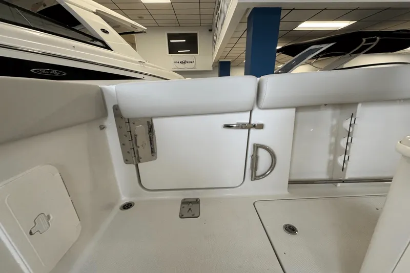 Slide: The Image of Sailfish 272 CC 2025 - 10