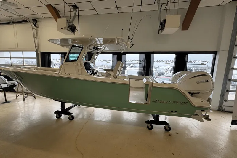 Slide: The Image of Sailfish 272 CC 2025 - 3