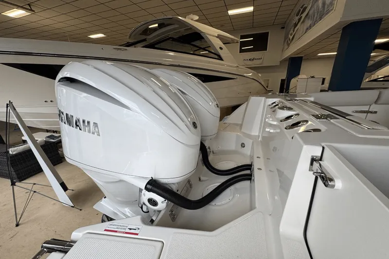 Slide: The Image of Sailfish 272 CC 2025 - 5