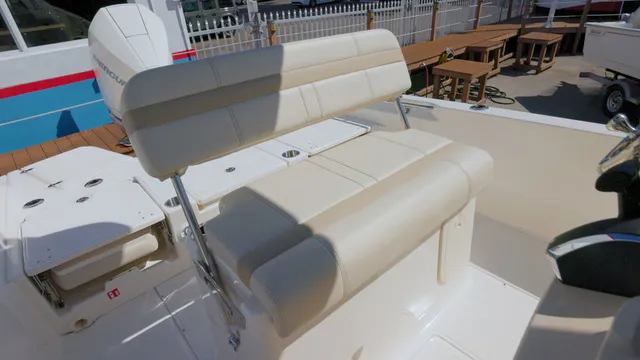 Slide: The Image of Boston Whaler 250 Dauntless 2026 - 15