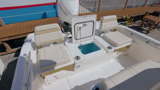 Slide: The Image of Boston Whaler 250 Dauntless 2026 - 10