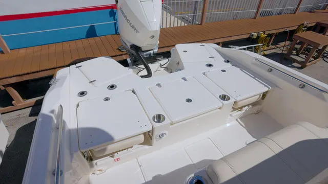 Slide: The Image of Boston Whaler 250 Dauntless 2026 - 9