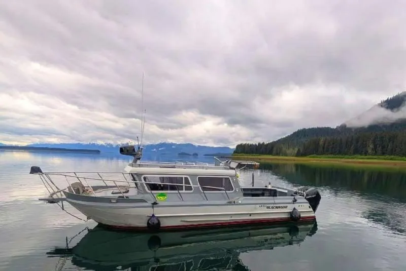 The Image of Kingfisher XAC 2023 - 0