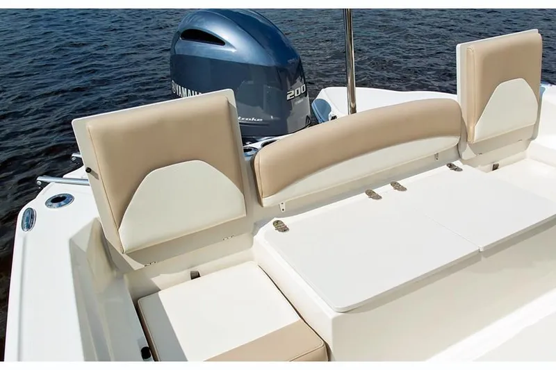 Slide: The Image of Stingray 236 CC 2018 - 17