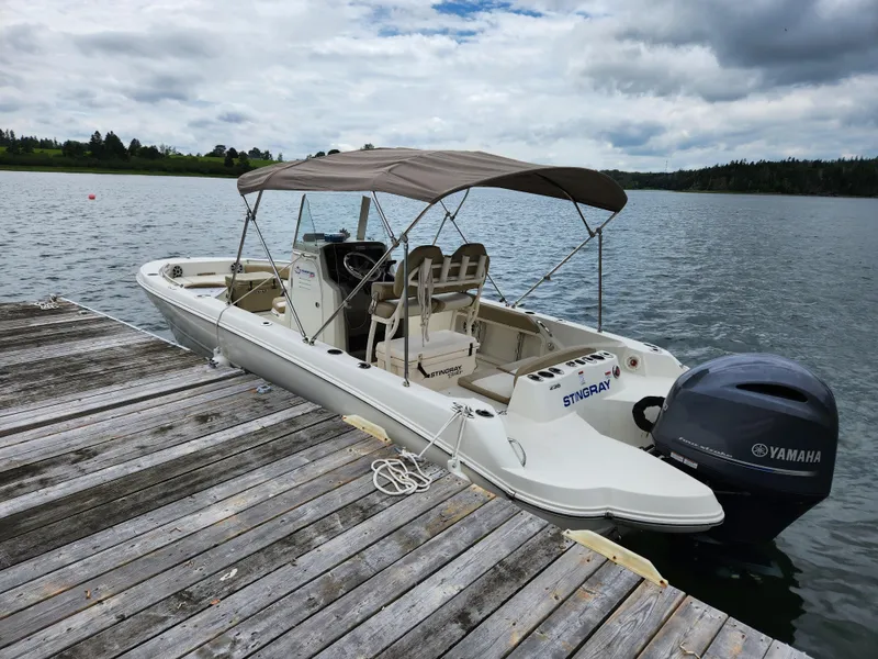 Slide: The Image of Stingray 236 CC 2018 - 2