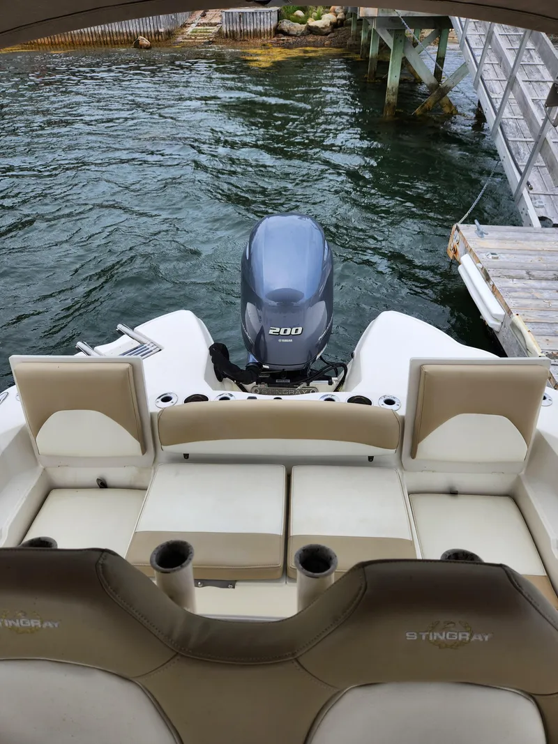 Slide: The Image of Stingray 236 CC 2018 - 3