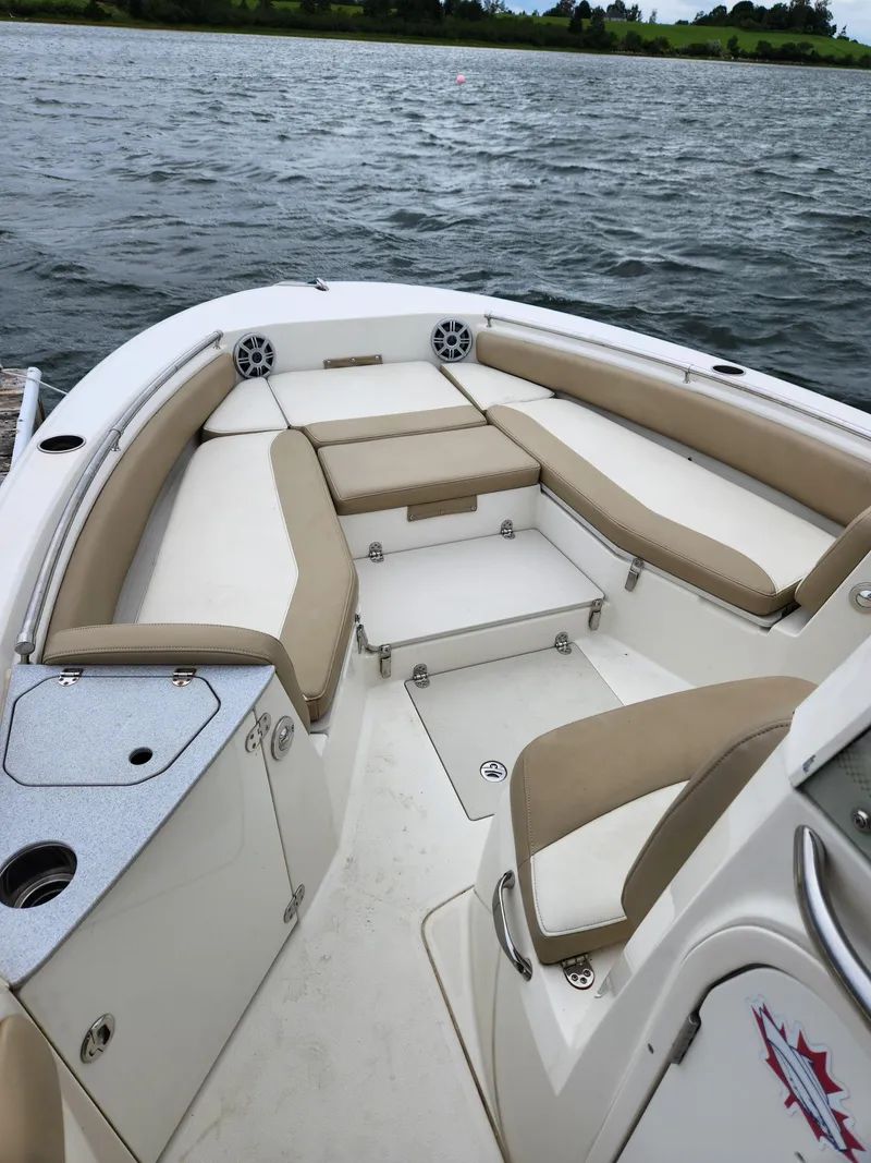 Slide: The Image of Stingray 236 CC 2018 - 5