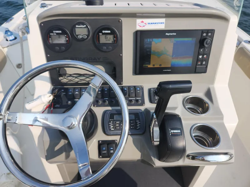 Slide: The Image of Stingray 236 CC 2018 - 7