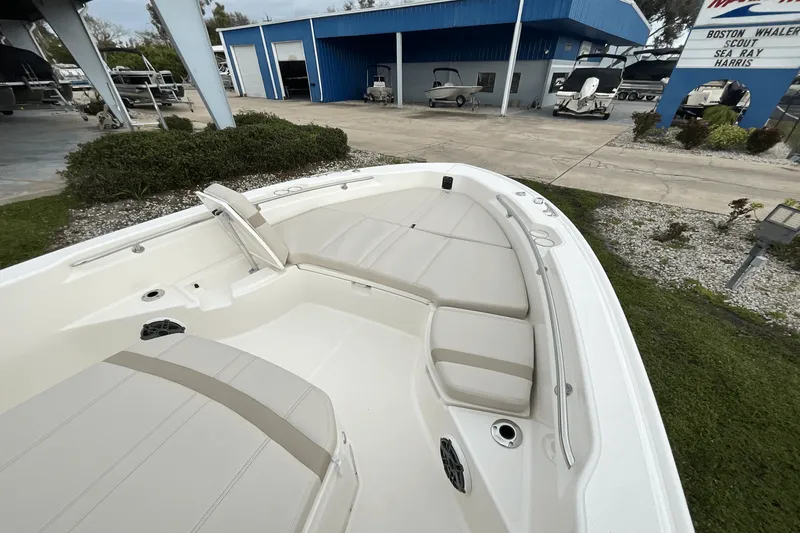 Slide: The Image of Boston Whaler 250 Dauntless 2025 - 13