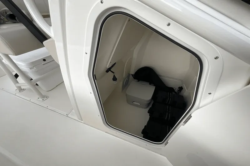 Slide: The Image of Boston Whaler 250 Dauntless 2025 - 14