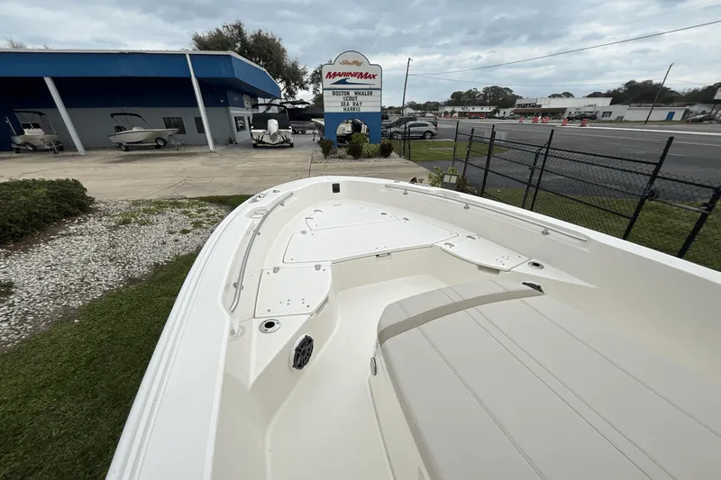 Slide: The Image of Boston Whaler 250 Dauntless 2025 - 5