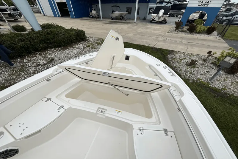 Slide: The Image of Boston Whaler 250 Dauntless 2025 - 7