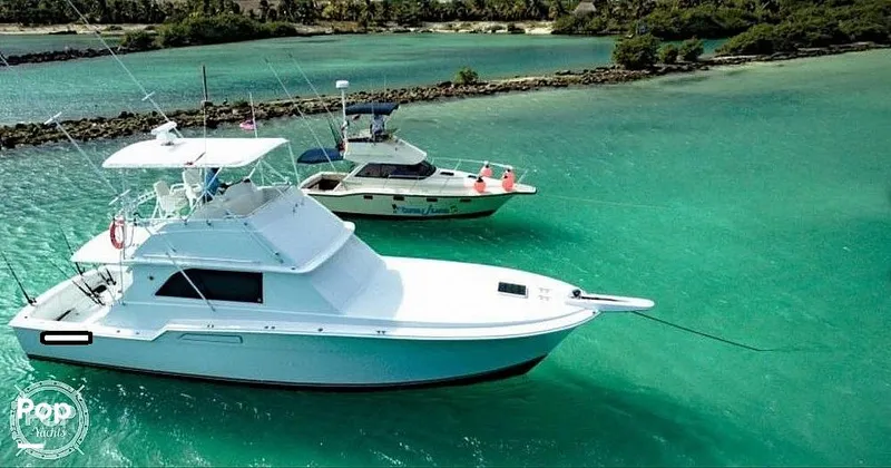 The Image of Bertram 46 Convertible 1978 - 9826100