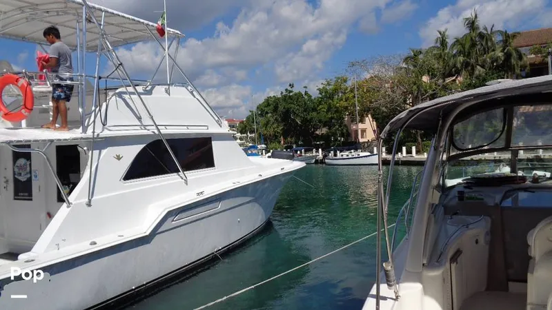 Slide: The Image of Bertram 46 Convertible 1978 - 9805353