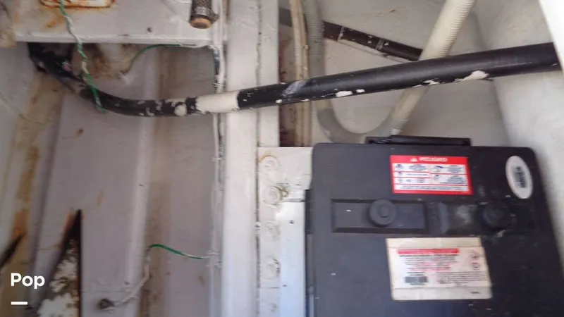 Slide: The Image of Bertram 46 Convertible 1978 - 9805496