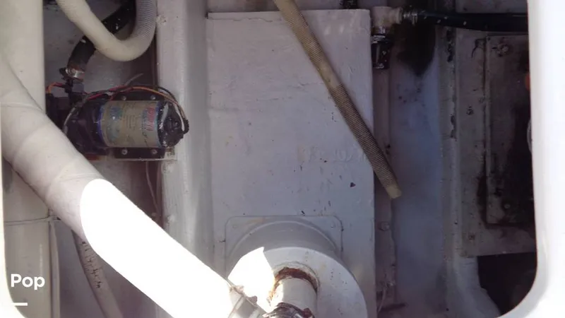 Slide: The Image of Bertram 46 Convertible 1978 - 9805498