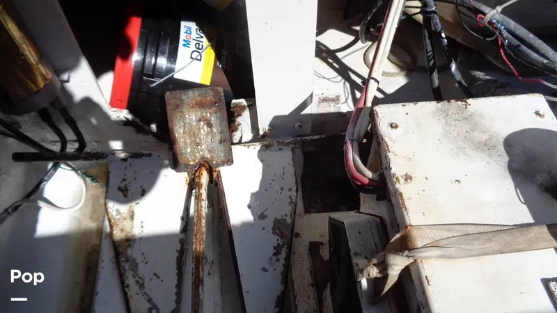 Slide: The Image of Bertram 46 Convertible 1978 - 9805504