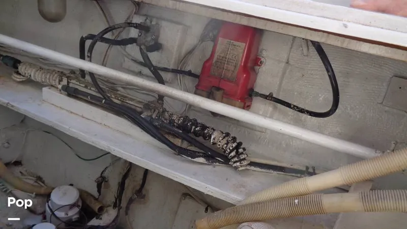 Slide: The Image of Bertram 46 Convertible 1978 - 9805505