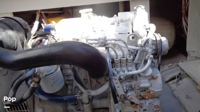 Slide: The Image of Bertram 46 Convertible 1978 - 9805509