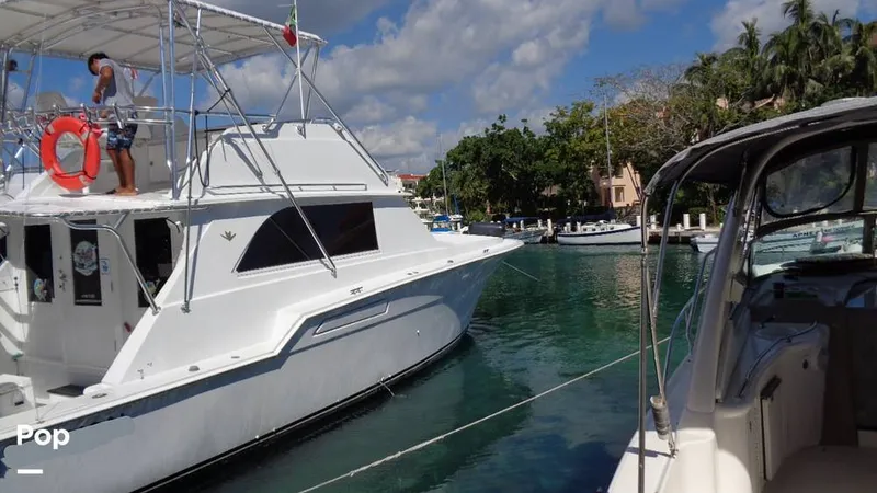 Slide: The Image of Bertram 46 Convertible 1978 - 9805355