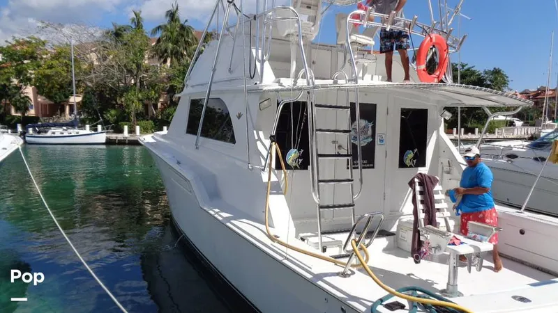 Slide: The Image of Bertram 46 Convertible 1978 - 9805357