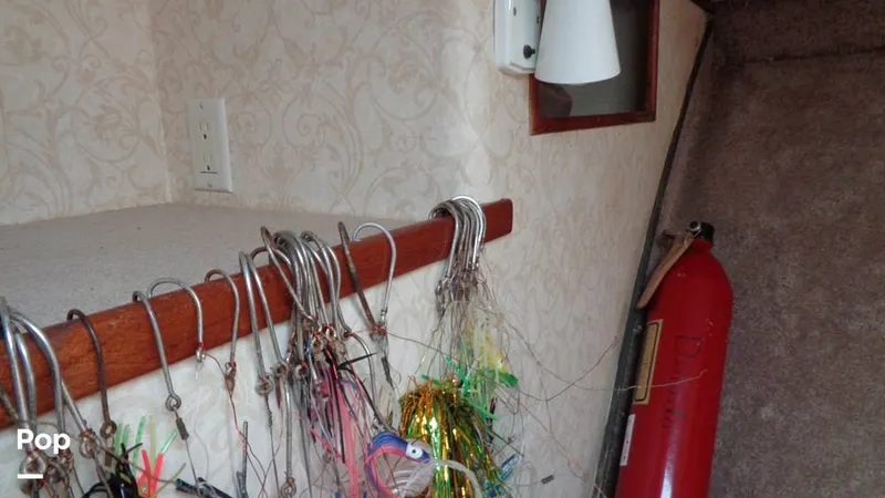 Slide: The Image of Bertram 46 Convertible 1978 - 9805403