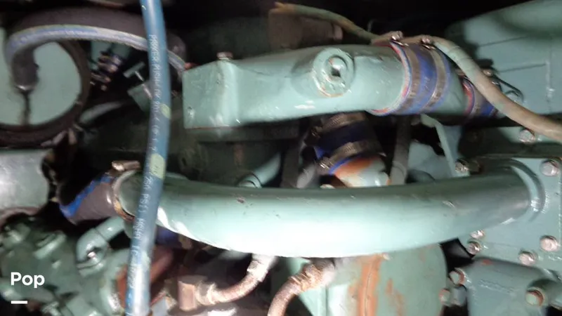 Slide: The Image of Bertram 46 Convertible 1978 - 9805419