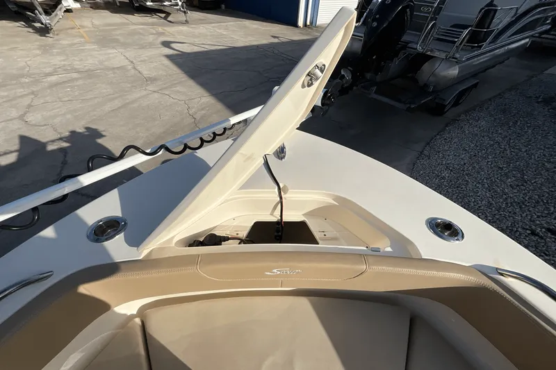 Slide: The Image of Scout 215 XSF 2024 - 14