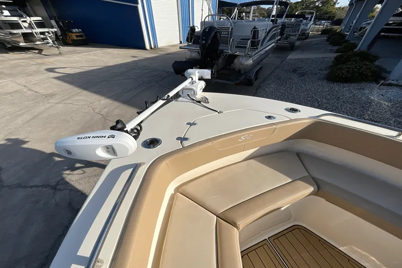 Slide: The Image of Scout 215 XSF 2024 - 15