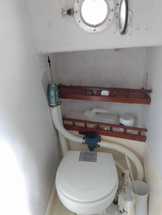 Slide: The Image of Head - 13246172