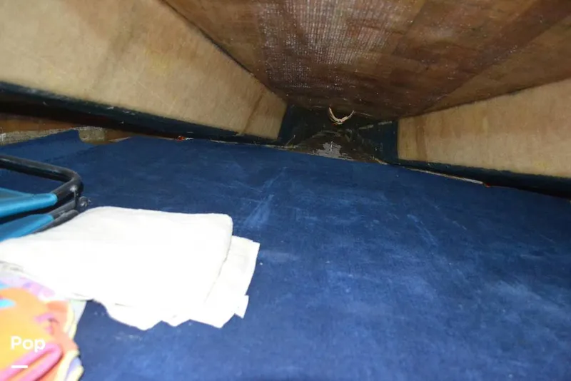 Slide: The Image of Kober Kat 25 2002 - 8899859