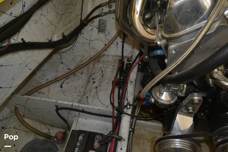 Slide: The Image of Kober Kat 25 2002 - 8899806