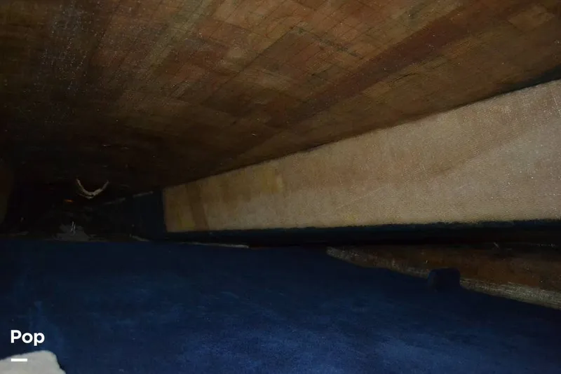 Slide: The Image of Kober Kat 25 2002 - 8899862