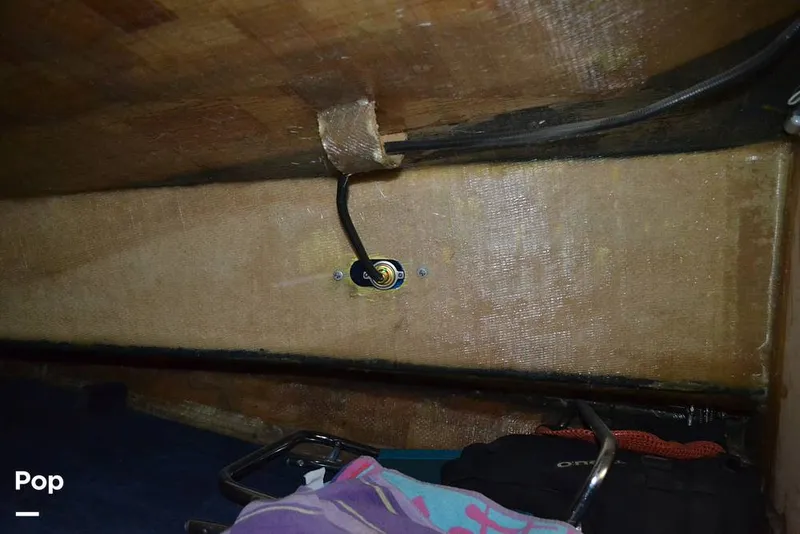 Slide: The Image of Kober Kat 25 2002 - 8899865