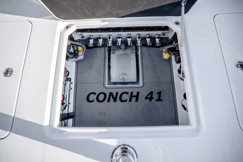 Slide: The Image of Conch 41 2024 - 22