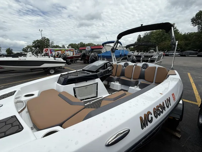 Slide: The Image of Scarab 165 ID 2024 - 3