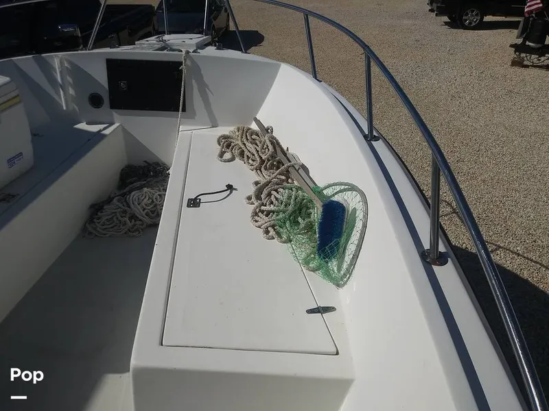 Slide: The Image of Bow - 7173295