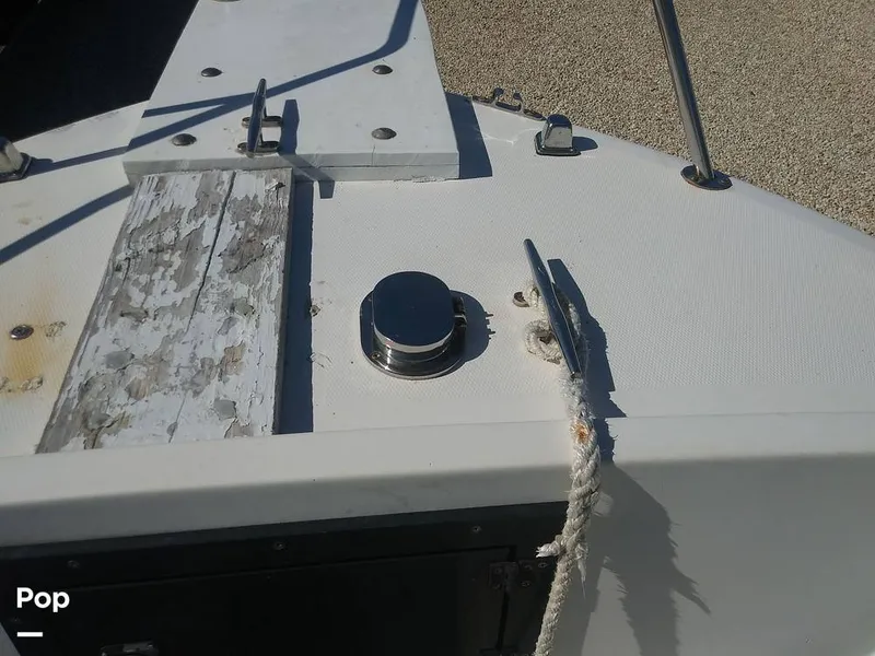 Slide: The Image of Bow - 7173306