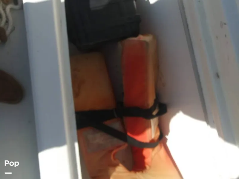 Slide: The Image of Pfd - 7173316