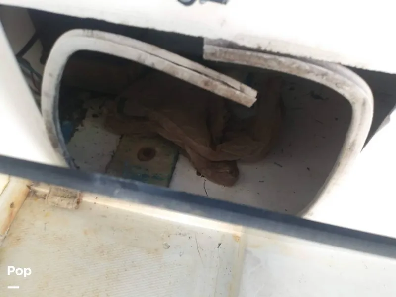 Slide: The Image of Angler 220 1995 - 7173357