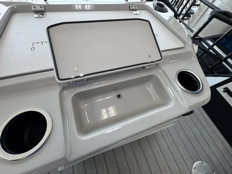 Slide: The Image of Sylvan L1 Party Fish 2025 - 15