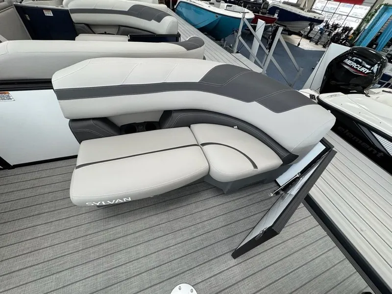 Slide: The Image of Sylvan L1 Party Fish 2025 - 3