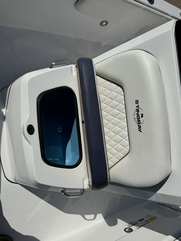 Slide: The Image of Stingray 173CC 2025 - 10